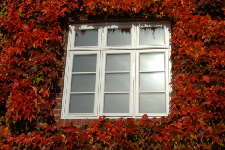 Bergedorf 03 2 1 768x514