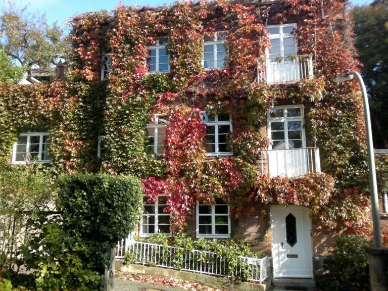 Blankeneese 01 1 768x576