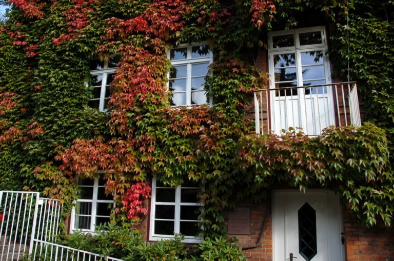 Blankeneese 01 5 768x509