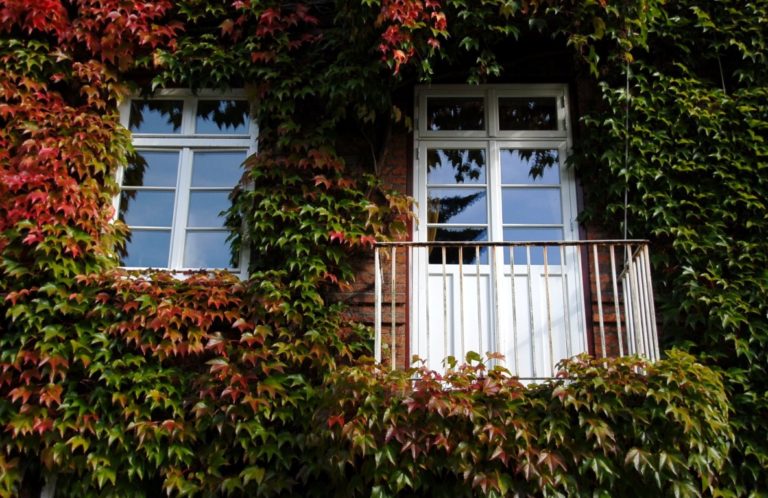 Blankeneese 01 6 768x498