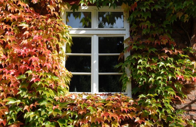 Blankeneese 01 7 768x500