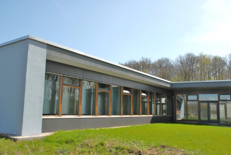 Munster 01 1 3 768x514