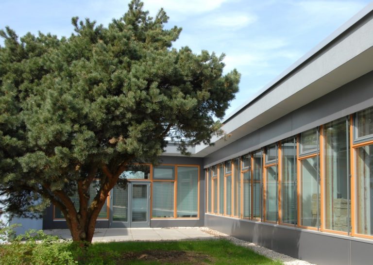 Munster 01 1 5 768x546