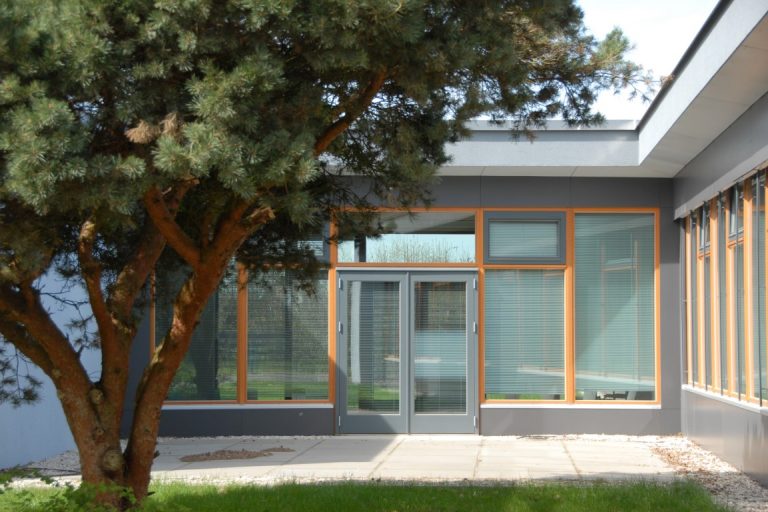 Munster 01 1 6 768x512