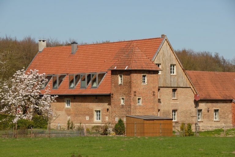 Munster 02 1 3 768x514