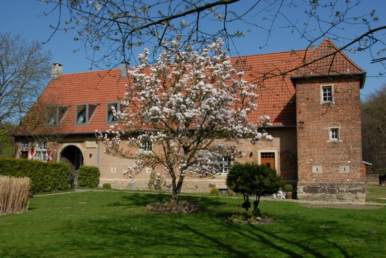 Munster 02 1 5 768x514