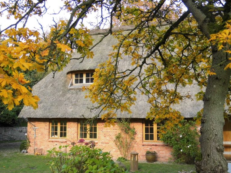 Neumünster Krs 1 768x576