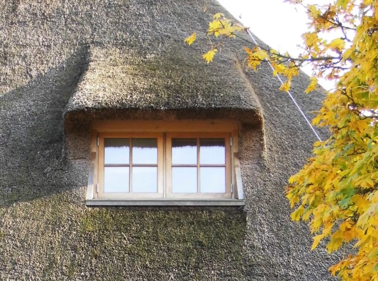 Neumünster Krs 14 768x572