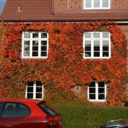 Bergedorf-03 (1)