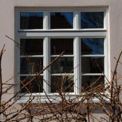 Berliner-Warmf (3)
