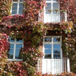 Blankeneese-01 (3)