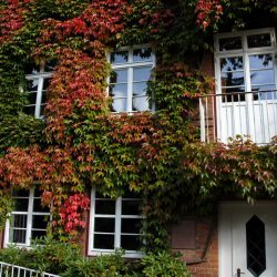 Blankeneese-01 (5)