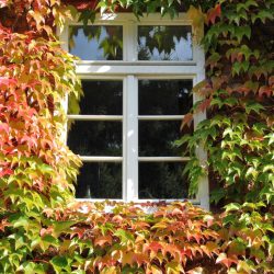 Blankeneese-01 (7)