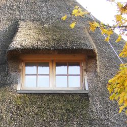 Blocksdorf (14)