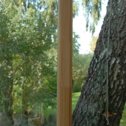 Dänisch-kiefer-keilgezinkt (3)