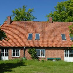 Femarn (1)