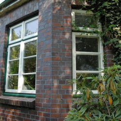 Güster (4) re alt-li neu