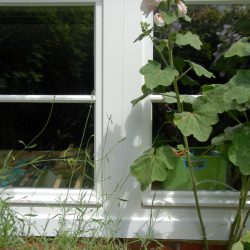 HH-Langenhorn-02 (4)