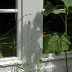 HH-Langenhorn-02 (5)