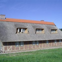 Ostholstein-Ol (1)