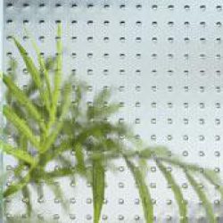 classica_mastercarree