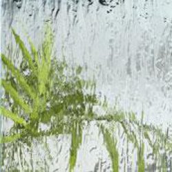 classica_silvitweiss